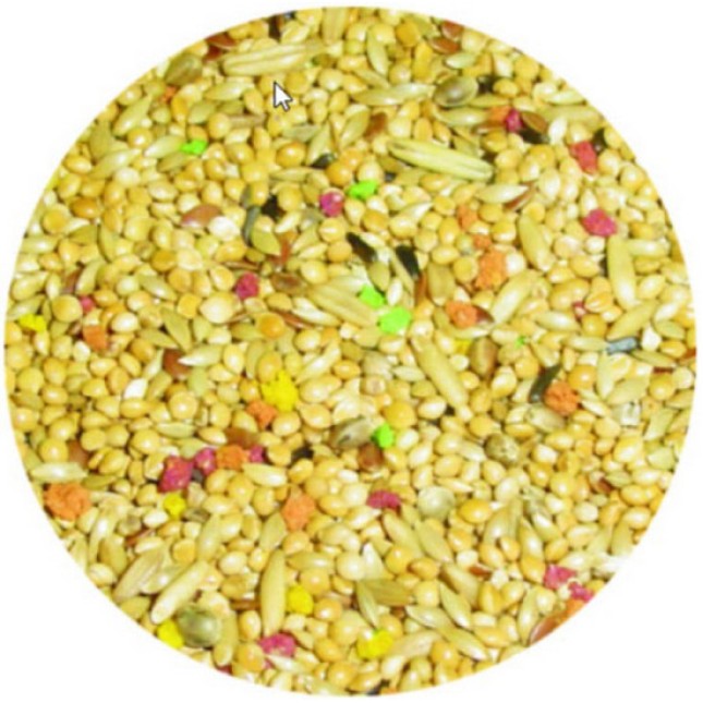 Voskes Millet Mixture για μικρά παπαγαλάκια 1kg χύμα