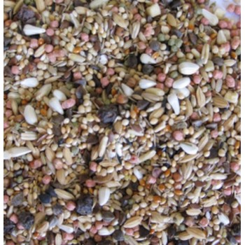 Deli Nature Birdelicius Μείγμα σπόρων, στομαχικής άμμου και όστρακων για την ενίσχυση της πέψης Deli Nature Birdelicius Μείγμα σπόρων, στομαχικής άμμου και όστρακων για την ενίσχυση της πέψης