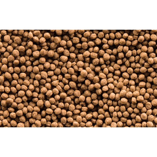 Sera Goldy Gran Nature , τροφή για χρυσόψαρα σε κόκκους 250ml Sera Goldy Gran Nature , τροφή για χρυσόψαρα σε κόκκους 250ml