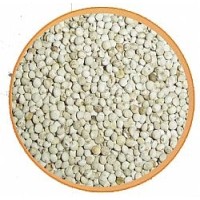 Περίλλα άσπρη για ωδικά 1kg