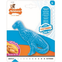 Nylabone κόκκαλο για puppy dental dino chicken S