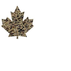 ΚΕΛΑΙΔΙΝΗ  MANITOBA CANARINI T4 25kg