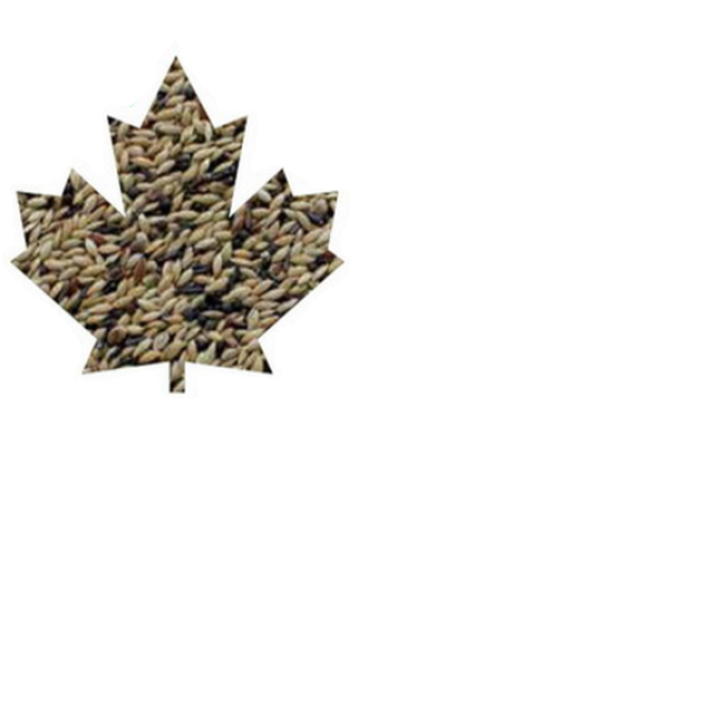 ΚΕΛΑΙΔΙΝΗ  MANITOBA CANARINI T4 25kg