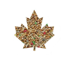 Manitoba Cocorite Pappagalini 1kg χύμα