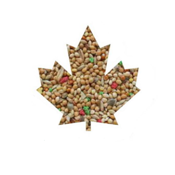 Manitoba Cocorite Pappagalini 1kg χύμα
