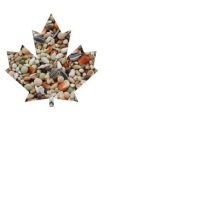 ΤΡΟΦΗ ΓΙΑ ΠΕΡΙΣΤΕΡΙΑ MUTA EXTRA 25 kg MANITOBA