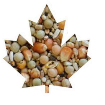 ΤΡΟΦΗ ΓΙΑ ΠΕΡΙΣΤΕΡΙΑ-NOVELLI 25 kg MANITOBA