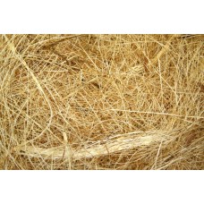 QUIKO ΝΗΜΑ ΦΩΛΙΑΣ Cocos Sisal 500gr