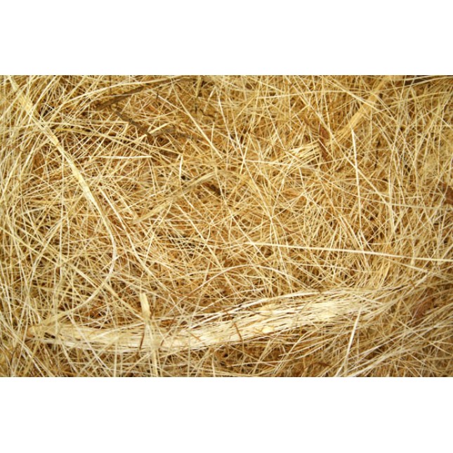 QUIKO ΝΗΜΑ ΦΩΛΙΑΣ Cocos Sisal 500gr QUIKO ΝΗΜΑ ΦΩΛΙΑΣ Cocos Sisal 500gr