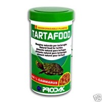 Prodac tarta food 100ml