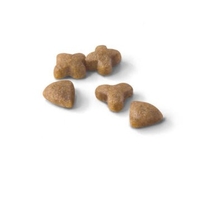 ROYAL CANIN FELINE HEALTH NUTRITION SENSIBLE 33 2kg+400gr ROYAL CANIN FELINE HEALTH NUTRITION SENSIBLE 33 2kg+400gr