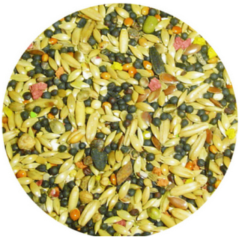 Professional mix κελαιδίνη top για καναρίνια 1kg