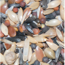 King κελαϊδίνη καρδερίνας golden spinus 1kg χύμα King κελαϊδίνη καρδερίνας golden spinus 1kg χύμα