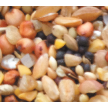 Naturline περιστεροτροφή χωρίς καλαμπόκι junior 25kg Naturline περιστεροτροφή χωρίς καλαμπόκι junior 25kg