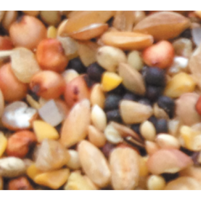 Naturline περιστεροτροφή χωρίς καλαμπόκι junior 25kg Naturline περιστεροτροφή χωρίς καλαμπόκι junior 25kg