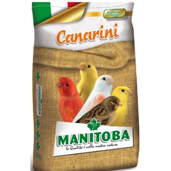 Manitoba Μείγμα ενισχυμένο με περίλα για καναρίνια χρώματος 20kg Manitoba Μείγμα ενισχυμένο με περίλα για καναρίνια χρώματος 20kg