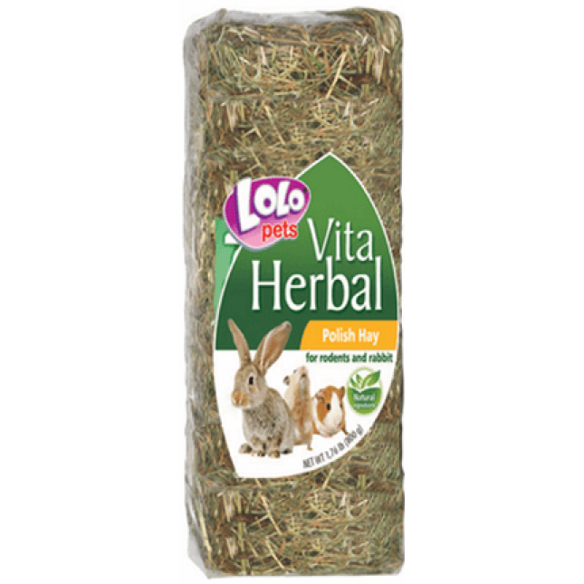 Lolo pets χόρτο τρωκτικών 500gr Lolo pets χόρτο τρωκτικών 500gr