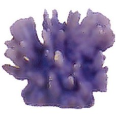 Διακοσμητικό κοράλι 20X14X24cm