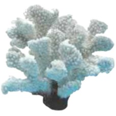 Διακοσμητικό κοράλι λευκό 13x12x12cm