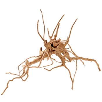 Hobby Φυσικό ξύλο Fingerwood 20-30cm Hobby Φυσικό ξύλο Fingerwood 20-30cm
