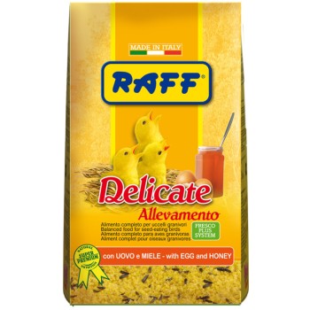 Raff delicate allevamento αυγοτροφή κατάλληλη για όλα τα είδη σποροφάγων πουλιών 500gr Raff delicate allevamento αυγοτροφή κατάλληλη για όλα τα είδη σποροφάγων πουλιών 500gr