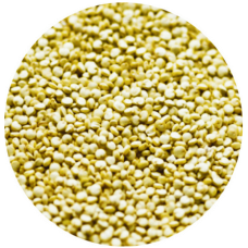 Σπόροι Κινοά - kinoa 1kg Σπόροι Κινοά - kinoa 1kg