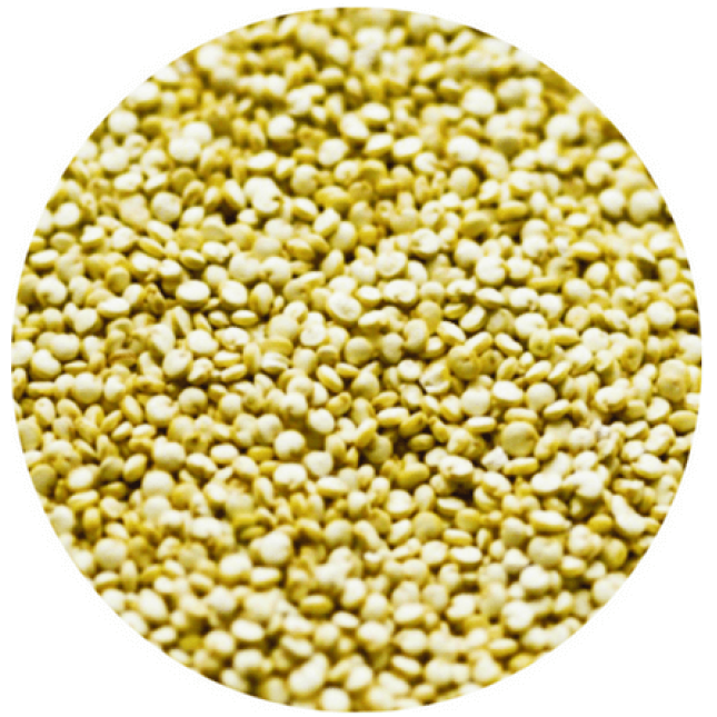 Σπόροι Κινοά - kinoa 1kg Σπόροι Κινοά - kinoa 1kg