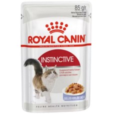 Royal Canin Fhn Πλήρης τροφή με ψιλοκομμένες φέτες σε ζελέ για ενήλικες γάτες 1x85gr Royal Canin Fhn Πλήρης τροφή με ψιλοκομμένες φέτες σε ζελέ για ενήλικες γάτες 1x85gr
