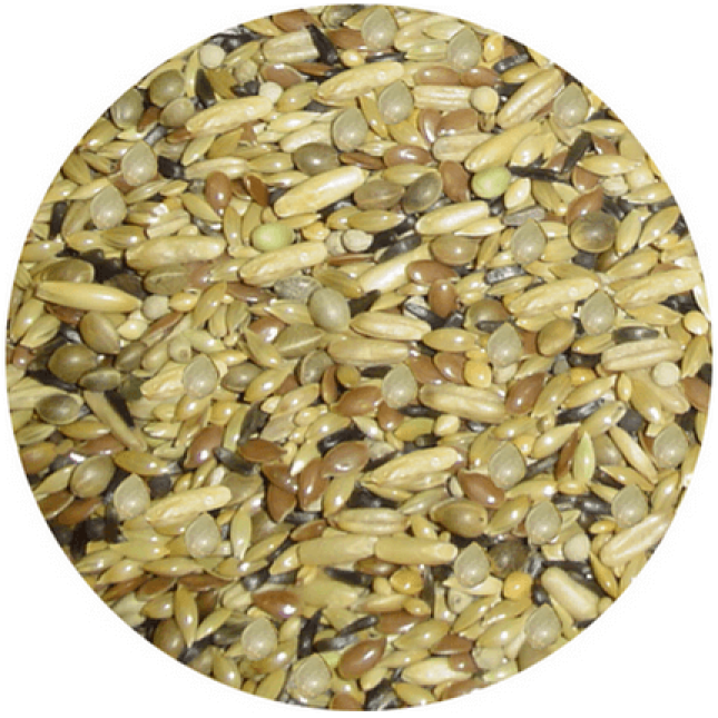 Professional mix κελαϊδίνη αναπαραγωγής Pro-Mix 6 για καναρίνια 1kg Professional mix κελαϊδίνη αναπαραγωγής Pro-Mix 6 για καναρίνια 1kg