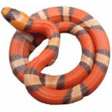 Φίδι Honduran milk tangerine Φίδι Honduran milk tangerine