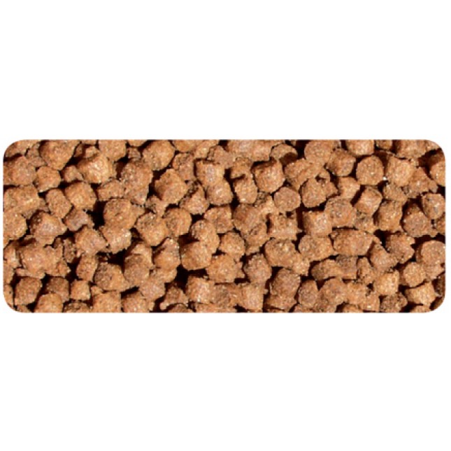 Fides Breeder Junior 20kg Fides Breeder Junior 20kg