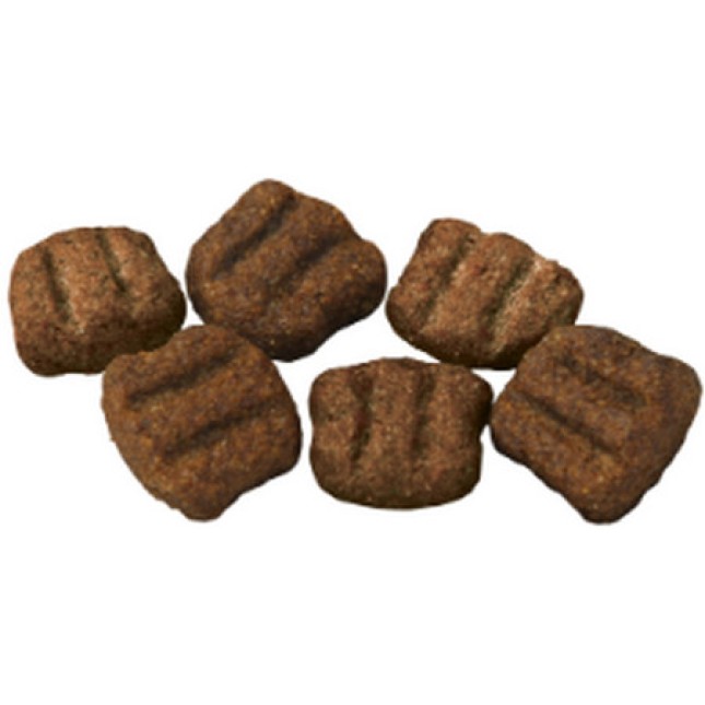 Supra Astro selection (αdult) 1kg χύμα Supra Astro selection (αdult) 1kg χύμα
