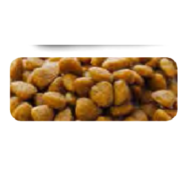 Total Alimentos Εquilibrio sensitive salmon small breed 7,5kg Total Alimentos Εquilibrio sensitive salmon small breed 7,5kg