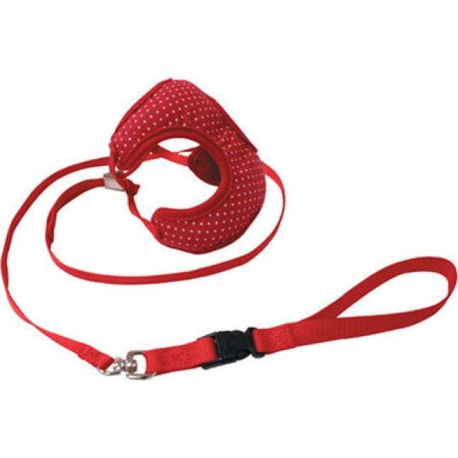 Croci Parure οδηγός & σαμαράκι xs Croci Parure οδηγός & σαμαράκι xs