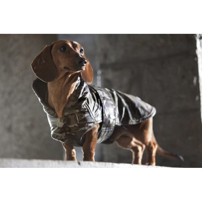 Croci μπουφάν dachshund military 39cm Croci μπουφάν dachshund military 39cm
