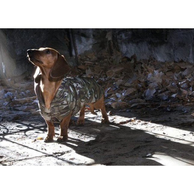 Croci μπουφάν dachshund military 45cm Croci μπουφάν dachshund military 45cm