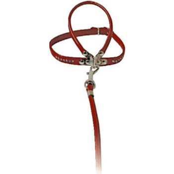 Croci Parure οδηγός και περιλαίμιο c/strass mis.1 κόκκινο Croci Parure οδηγός και περιλαίμιο c/strass mis.1 κόκκινο