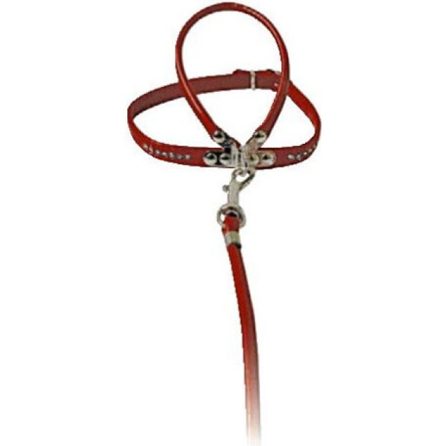 Croci Parure οδηγός και περιλαίμιο c/strass mis.1 κόκκινο Croci Parure οδηγός και περιλαίμιο c/strass mis.1 κόκκινο