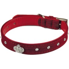 Croci περιλαίμιο σκύλου κόκκινο crown 2x40cm Croci περιλαίμιο σκύλου κόκκινο crown 2x40cm