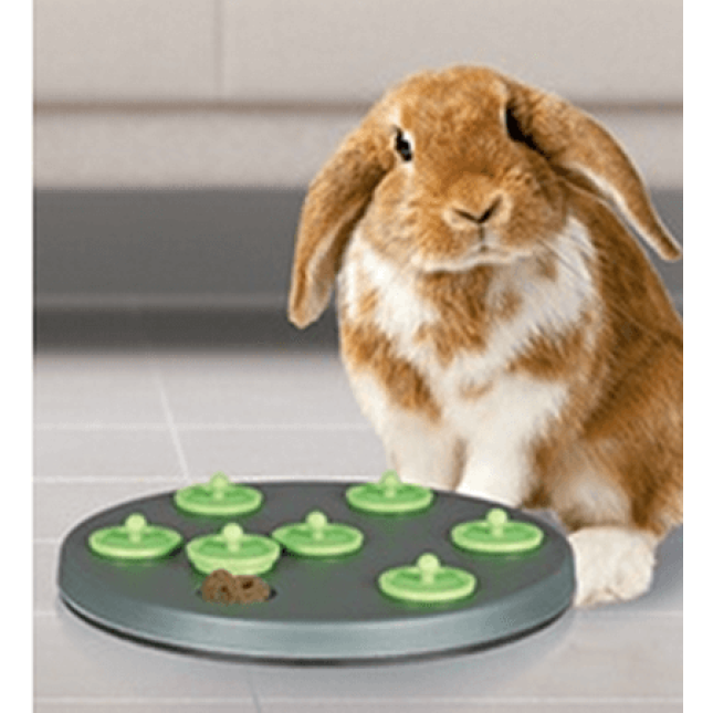 Trixie  εκπαιδευτικό παιχνίδι στρατηγικό Flip Board για μικρά ζώα