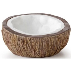 Exo coconut water dish