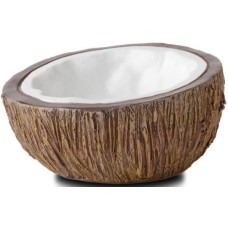 Exo coconut water dish