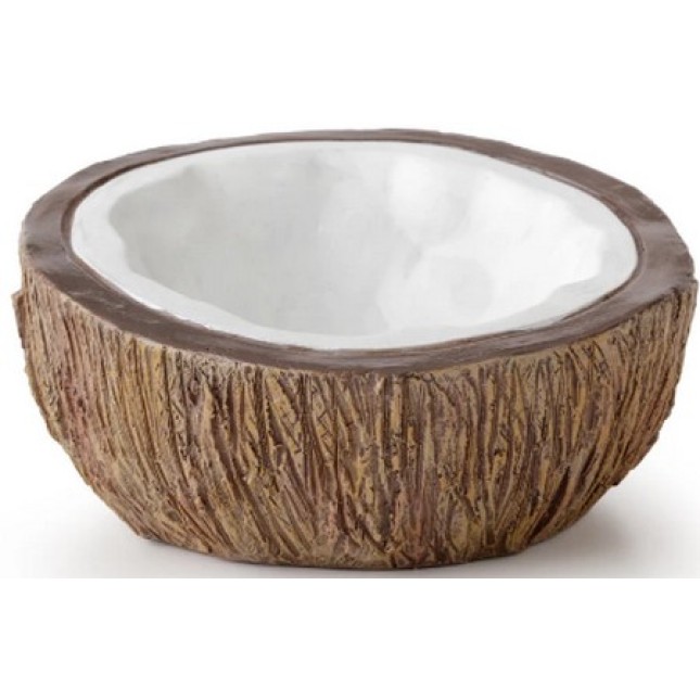 Exo coconut water dish