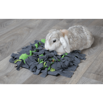 Trixie χαλάκι δραστηριοτήτων sniffing carpet 27x20cm γκρί/πράσινο Trixie χαλάκι δραστηριοτήτων sniffing carpet 27x20cm γκρί/πράσινο