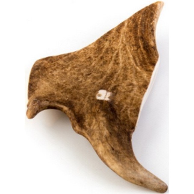 Cervus elaphus τμήμα φυσικό κέρατο ελαφιού maxi 140gr-160gr Cervus elaphus τμήμα φυσικό κέρατο ελαφιού maxi 140gr-160gr
