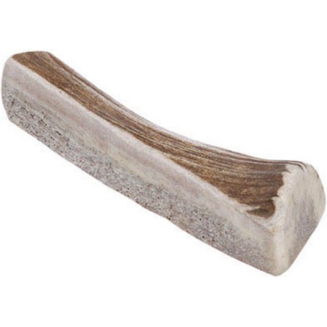 Cervus elaphus κομμάτι από φυσικό κέρατο ελαφιού maxi 70gr-90gr Cervus elaphus κομμάτι από φυσικό κέρατο ελαφιού maxi 70gr-90gr