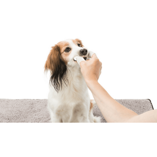 Trixie μαντηλάκια σκύλων για καθαρισμό των δοντιών (50τμχ)
