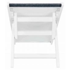 Trixie ράμπα με ρυθμιζόμενο ύψος 36x90cm Trixie ράμπα με ρυθμιζόμενο ύψος 36x90cm
