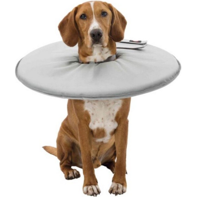 Trixie περιλαίμιο προστατευτικό l-xl 53-56cm/27cm Trixie περιλαίμιο προστατευτικό l-xl 53-56cm/27cm
