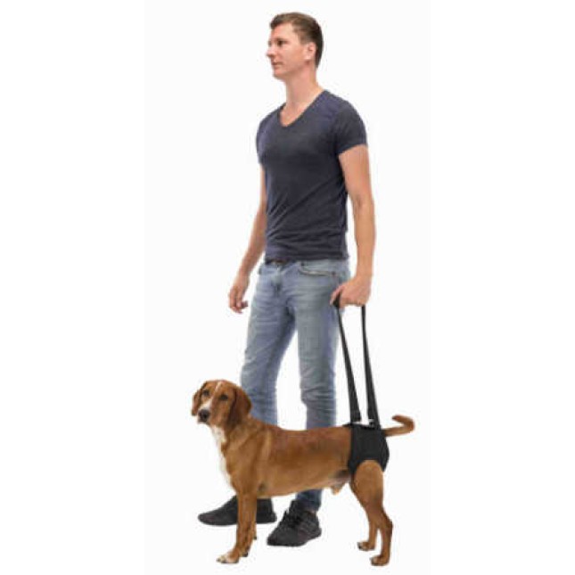 Trixie βοήθημα περιπάτου l 25-35kg μαύρο Trixie βοήθημα περιπάτου l 25-35kg μαύρο